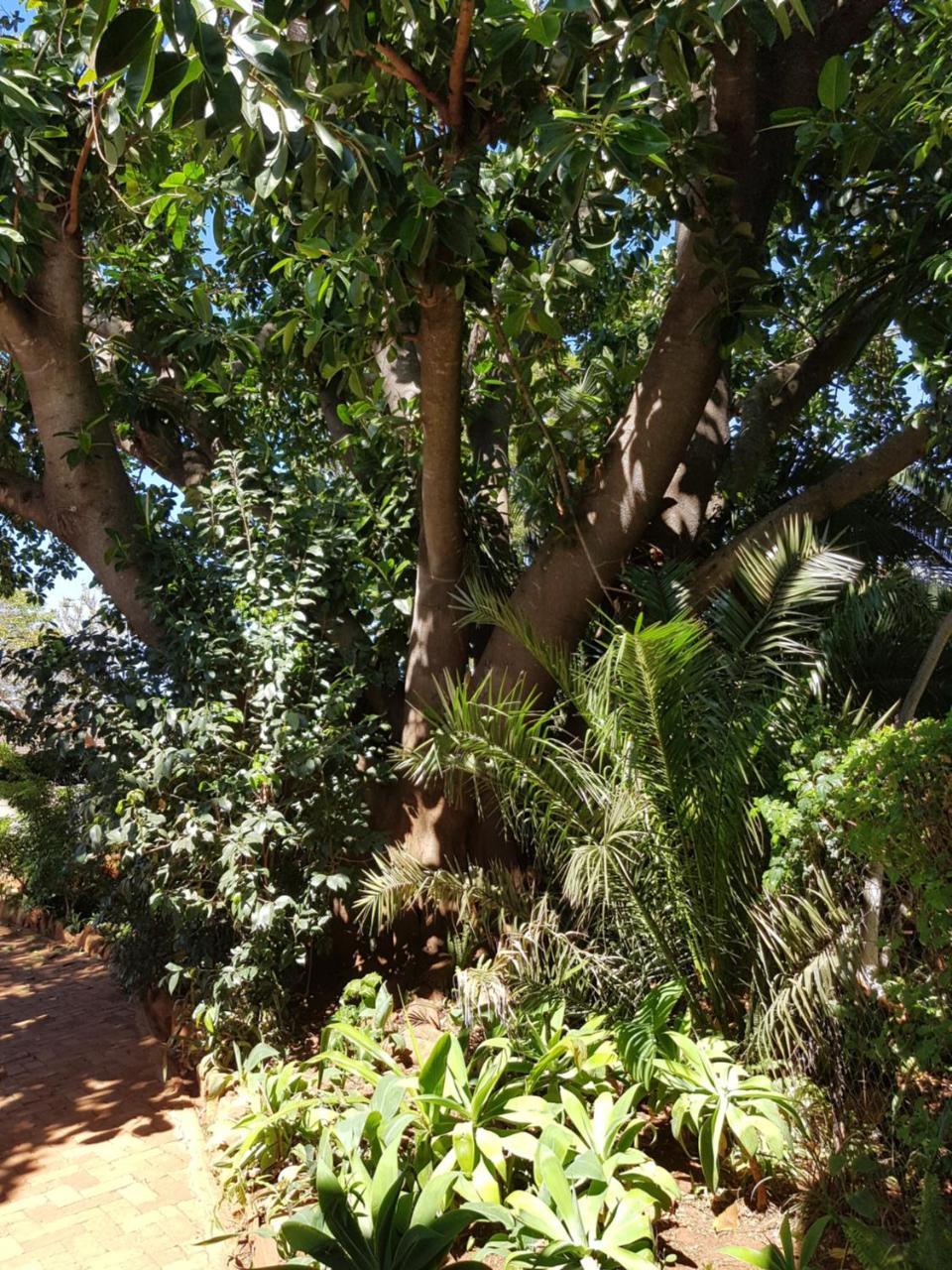 Burnham Road Suite Guest House Bulawayo Zewnętrze zdjęcie